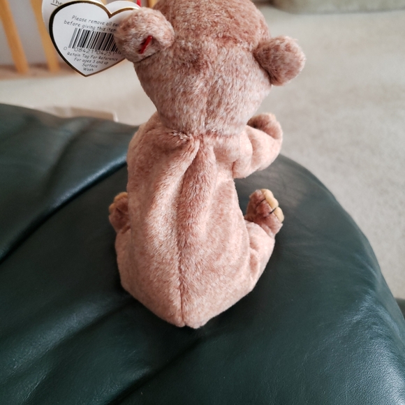 Ty Beanie Baby Pecan the Bear - Picture 7 of 8